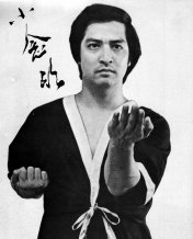 Maître Leung-Ting